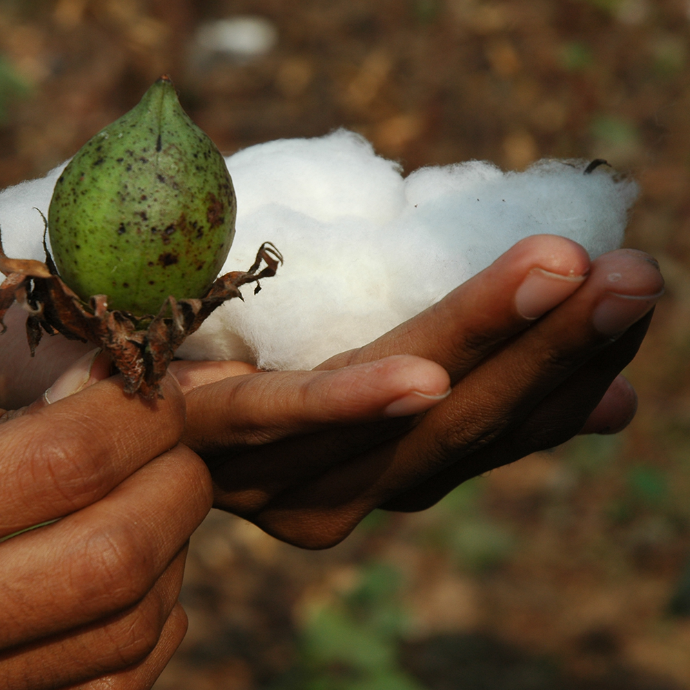 taller-baobag-barcelona-organico